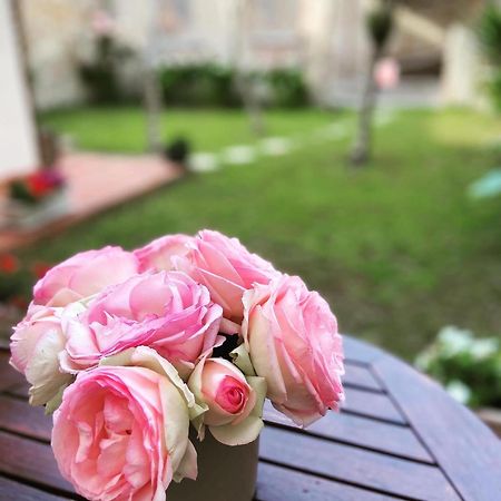 Victoria House B&B Pisa Buitenkant foto