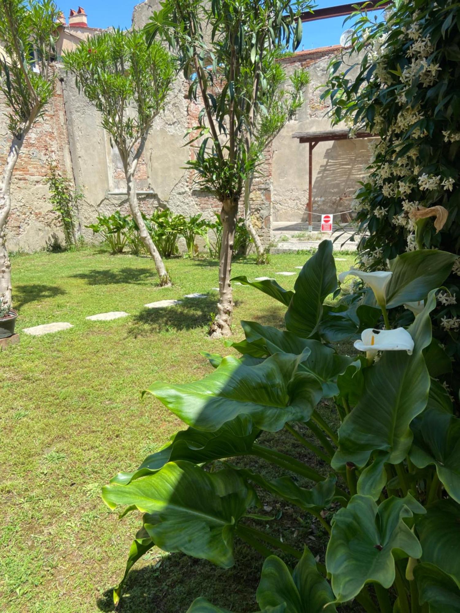 Victoria House B&B Pisa Buitenkant foto